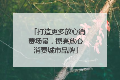 打造更多放心消费场景，擦亮放心消费城市品牌