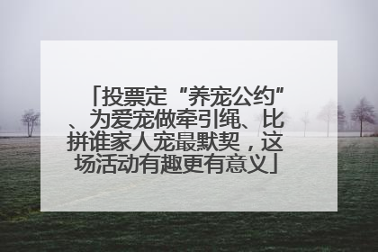 投票定“养宠公约”、为爱宠做牵引绳、比拼谁家人宠最默契，这场活动有趣更有意义