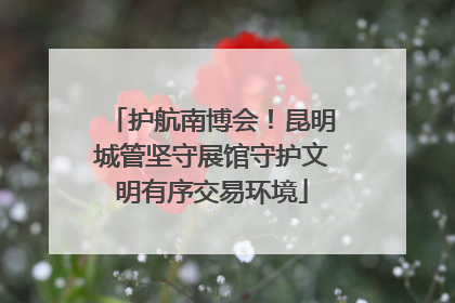 护航南博会！昆明城管坚守展馆守护文明有序交易环境