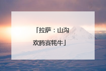拉萨：山沟欢腾赛牦牛