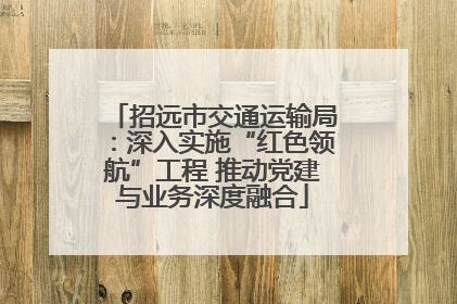 招远市交通运输局：深入实施“红色领航”工程 推动党建与业务深度融合
