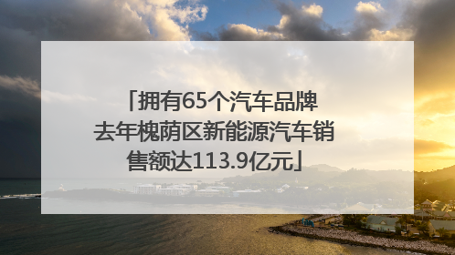 拥有65个汽车品牌 去年槐荫区新能源汽车销售额达113.9亿元