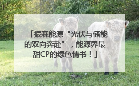 振森能源“光伏与储能的双向奔赴”，能源界最甜CP的绿色情书！