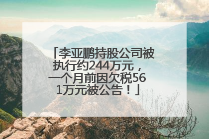 李亚鹏持股公司被执行约244万元，一个月前因欠税561万元被公告！