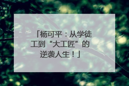 杨可平：从学徒工到“大工匠”的逆袭人生！