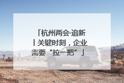 杭州两会·追新丨关键时刻，企业需要“拉一把”