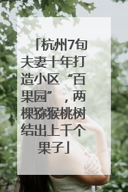 杭州7旬夫妻十年打造小区“百果园”，两棵猕猴桃树结出上千个果子