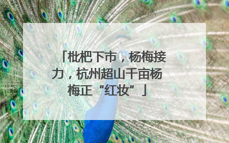 枇杷下市，杨梅接力，杭州超山千亩杨梅正“红妆”