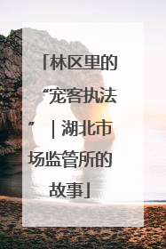 林区里的“宠客执法”｜湖北市场监管所的故事