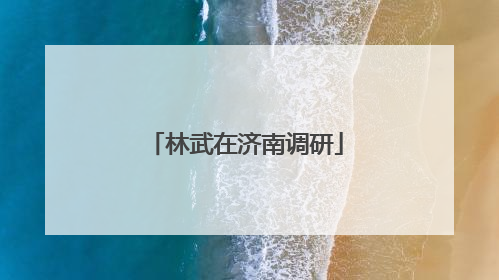 林武在济南调研