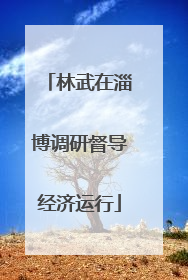 林武在淄博调研督导经济运行