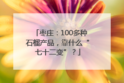 枣庄：100多种石榴产品，靠什么“七十二变”？