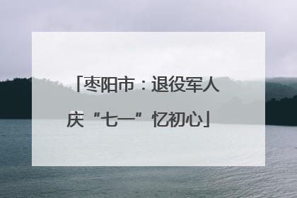 枣阳市：退役军人庆“七一”忆初心