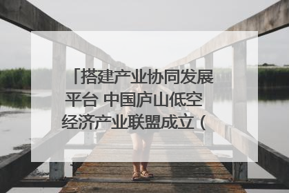 搭建产业协同发展平台 中国庐山低空经济产业联盟成立（组图｜视频）