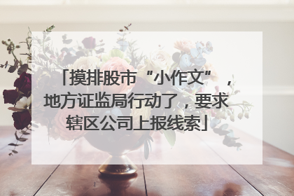 摸排股市“小作文”，地方证监局行动了，要求辖区公司上报线索