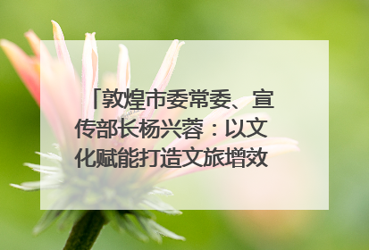 敦煌市委常委、宣传部长杨兴蓉：以文化赋能打造文旅增效新引擎｜第七届全国县域旅游研究成果发布系列活动