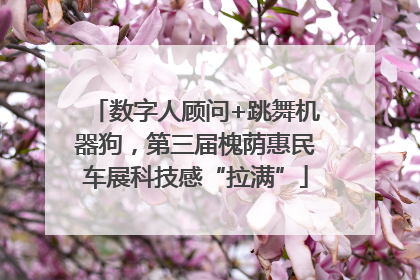 数字人顾问+跳舞机器狗，第三届槐荫惠民车展科技感“拉满”