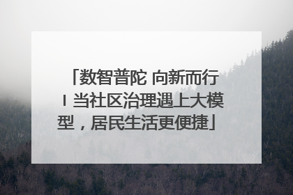 数智普陀 向新而行〡当社区治理遇上大模型，居民生活更便捷