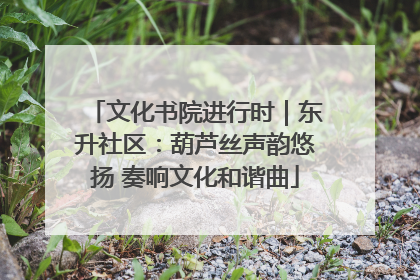 文化书院进行时｜东升社区：葫芦丝声韵悠扬 奏响文化和谐曲