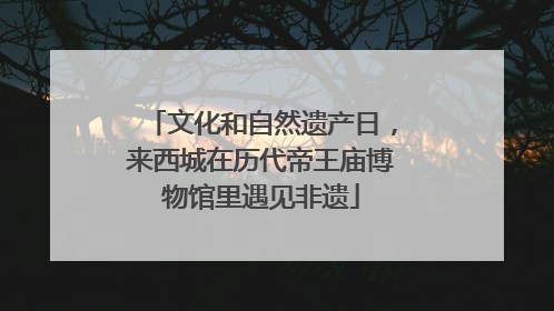 文化和自然遗产日，来西城在历代帝王庙博物馆里遇见非遗