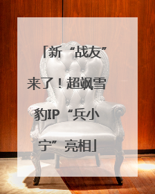 新“战友”来了！超飒雪豹IP“兵小宁”亮相