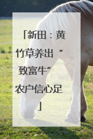 新田：黄竹草养出“致富牛” 农户信心足