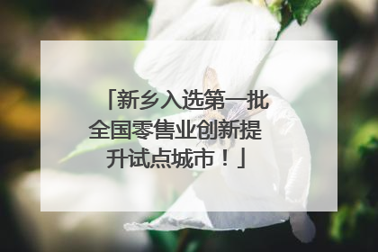 新乡入选第一批全国零售业创新提升试点城市！