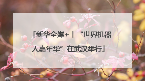 新华全媒+丨“世界机器人嘉年华”在武汉举行