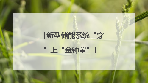 新型储能系统“穿”上“金钟罩”
