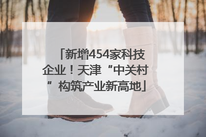 新增454家科技企业！天津“中关村”构筑产业新高地