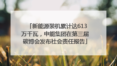 新能源装机累计达613万千瓦，申能集团在第三届碳博会发布社会责任报告