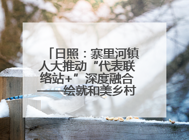 日照：寨里河镇人大推动“代表联络站+”深度融合——绘就和美乡村幸福画卷