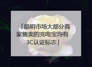 昆明市场大部分商家售卖的充电宝均有3C认证标志