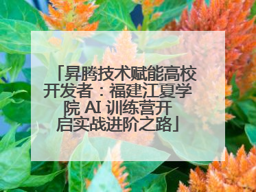 昇腾技术赋能高校开发者：福建江夏学院 AI 训练营开启实战进阶之路