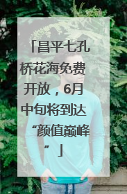 昌平七孔桥花海免费开放，6月中旬将到达“颜值巅峰”