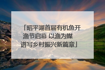 昭平湖首届有机鱼开渔节启幕 以渔为媒 谱写乡村振兴新篇章