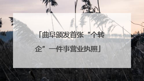 曲阜颁发首张“个转企”一件事营业执照