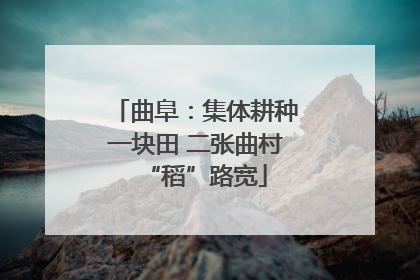 曲阜：集体耕种一块田 二张曲村“稻”路宽