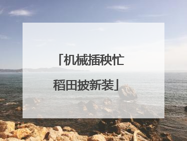 机械插秧忙 稻田披新装