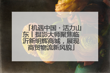 机遇中国・活力山东丨摄影大师聚焦临沂新明辉商城，展现商贸物流新风貌