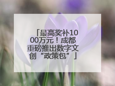 最高奖补1000万元！成都重磅推出数字文创“政策包”
