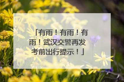 有雨！有雨！有雨！武汉交警再发考前出行提示！