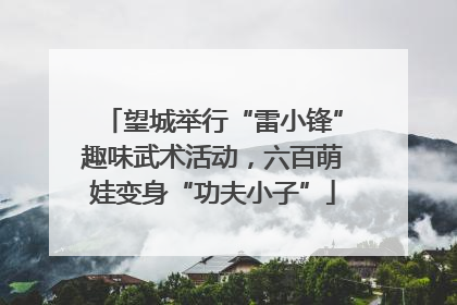 望城举行“雷小锋”趣味武术活动，六百萌娃变身“功夫小子”
