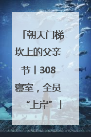 朝天门梯坎上的父亲节丨308寝室，全员“上岸”