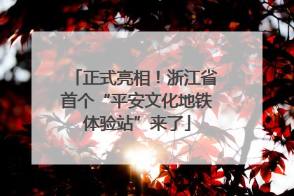 正式亮相！浙江省首个“平安文化地铁体验站”来了
