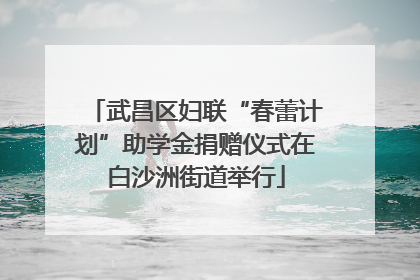 武昌区妇联“春蕾计划”助学金捐赠仪式在白沙洲街道举行