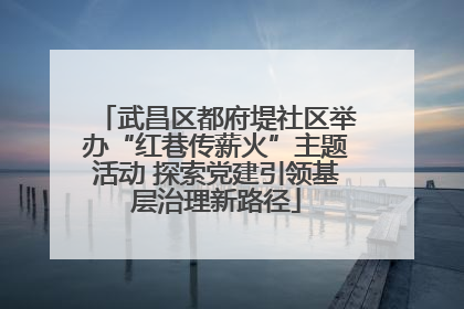 武昌区都府堤社区举办“红巷传薪火”主题活动 探索党建引领基层治理新路径