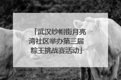 武汉纱帽街月亮湾社区举办第三届粽王挑战赛活动