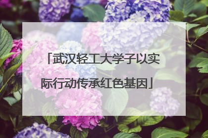 武汉轻工大学子以实际行动传承红色基因