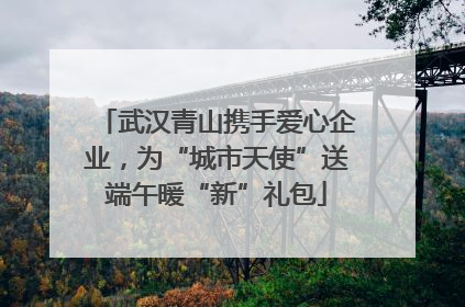 武汉青山携手爱心企业，为“城市天使”送端午暖“新”礼包